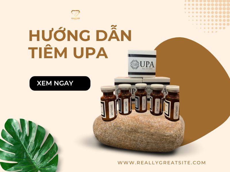 Hướng dẫn sử dụng