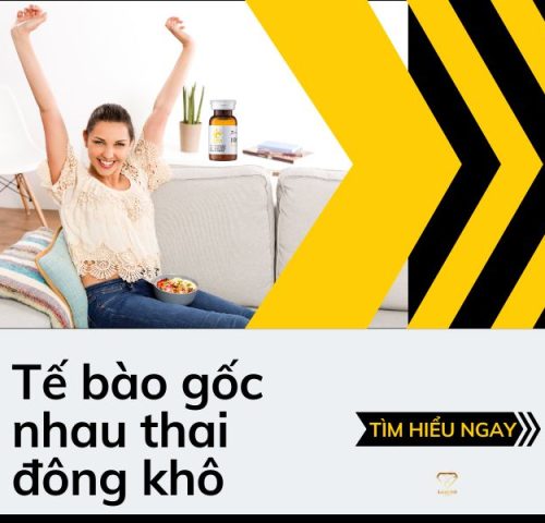 tế bào gốc nhau thai đông khô
